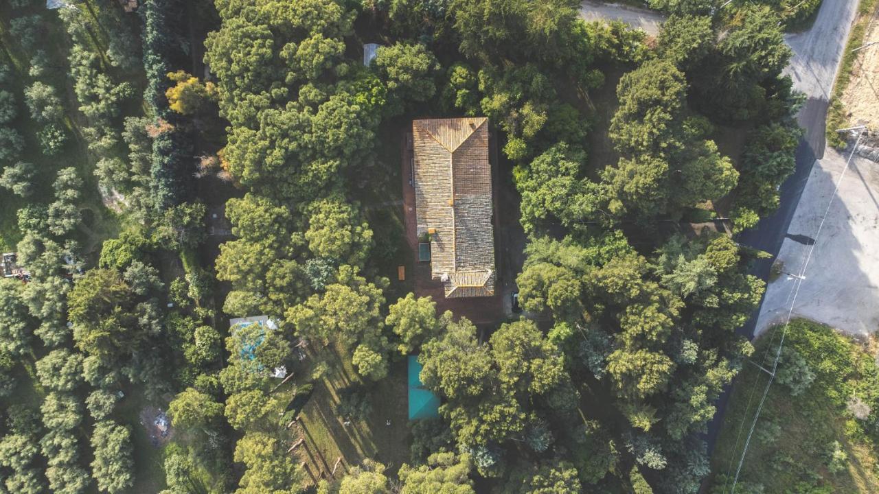 Aurora House Villa
